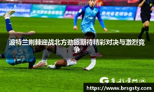 三亿体育新版本